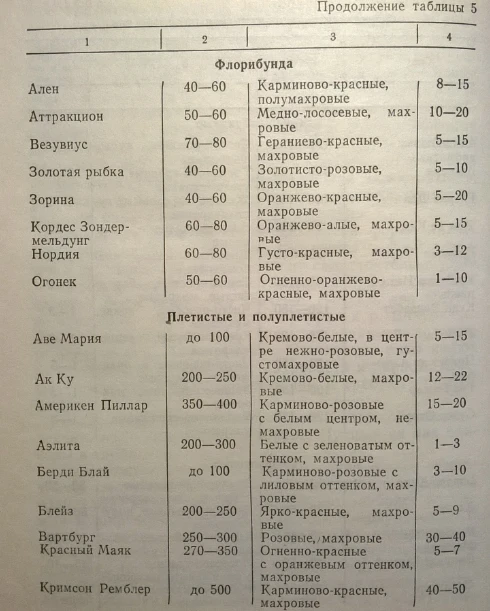 Roses. Rhizomatous perennials that winter in the soil of Kyrgyzstan