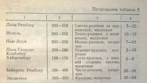Roses. Rhizomatous perennials that winter in the soil of Kyrgyzstan
