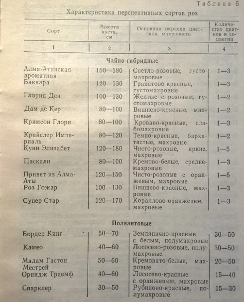 Roses. Rhizomatous perennials that winter in the soil of Kyrgyzstan
