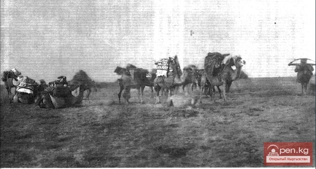 Rituals related to livestock breeding among the Kyrgyz