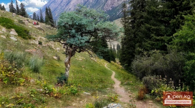 The Beauty of Kyrgyzstan