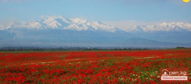 The Beauty of Kyrgyzstan