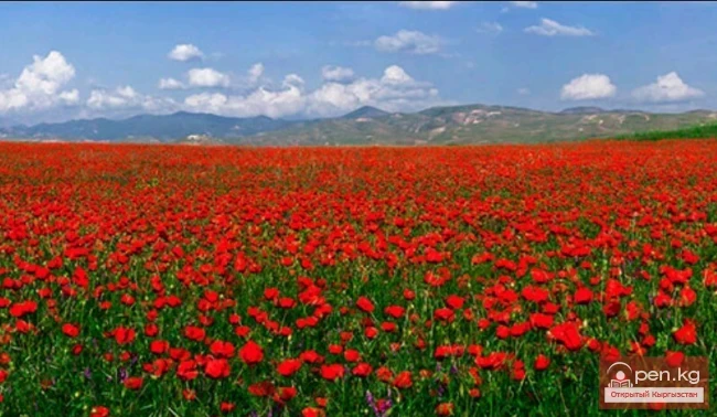 The Beauty of Kyrgyzstan