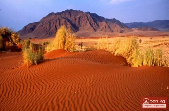 Узбекистандагы аномалдуу зоналар (Видео)
