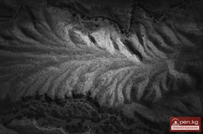 Голландиядан келген фотограф Иссык-Көлдүн түштүк жээгиндеги уникалдуу жерлердин сүрөттөрүн жарыялады