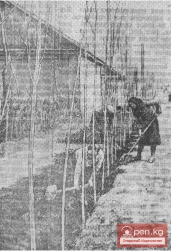 Protocols of Meetings on Urban Improvement Issues in the City of Frunze. Documents No. 81 - 82 (1932)