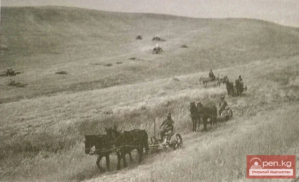 Лапан совхозунда аттар менен чөп жыйноонун жалпы көрүнүшү. 1986-жыл.