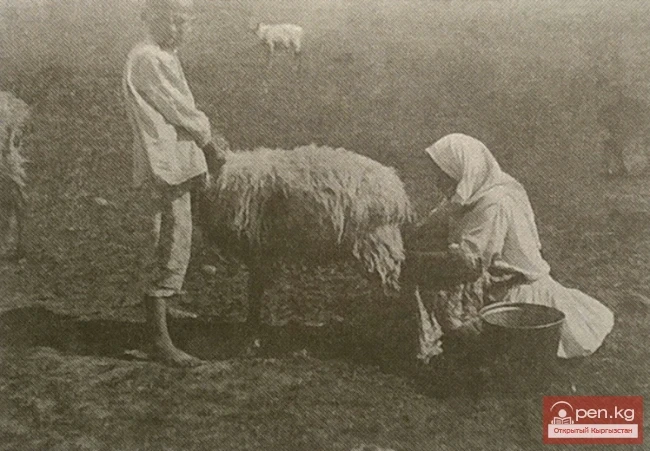 Койду доо. XX кылымдын биринчи үчтүгү. Кыргызстан