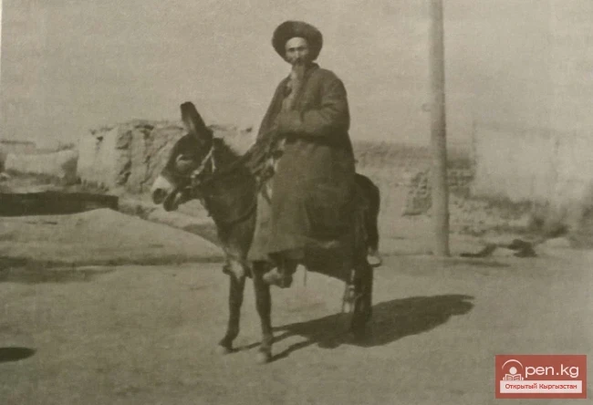 Колхозчу - ишакта малчы. Тянь-Шань облусу. 1951 жыл.