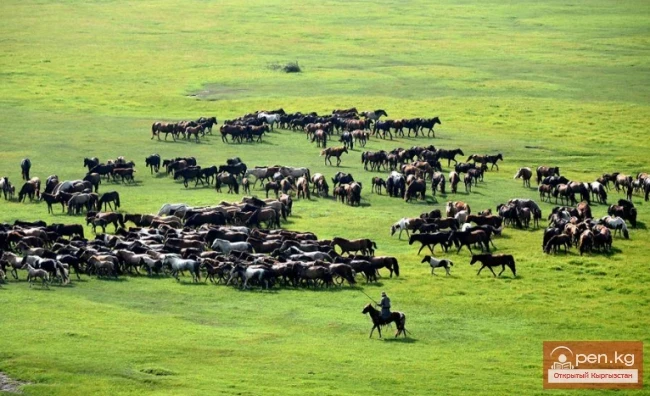 Кыргыздардын көчмөн мал чарбачылыгынын жылдык цикли