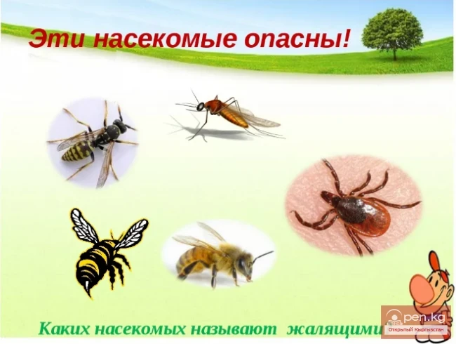 Personal hygiene rules in the conditions of hiking in the Tian Shan