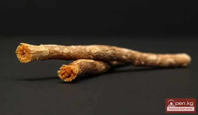 Personal hygiene rules in the conditions of hiking in the Tian Shan