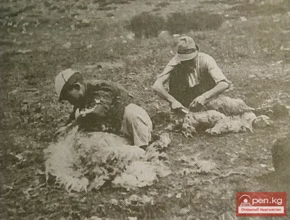 Кой кыркуу - Кирг. АССР, Фрунзе шаарында, ЧоцУзунгыр айылы. 1929 ж.