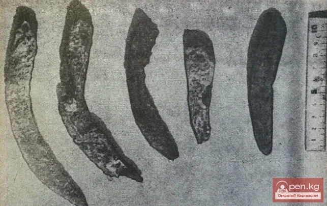 Каменные орудия труда Сарыбулуна