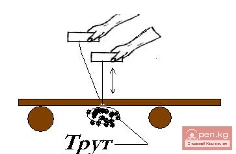 Ойгондуктарды жана отту отургузуучу жок, Кыргызстан тоолорунда отту алуу үчүн бир нече ыкмалар. Бөлүк - 2