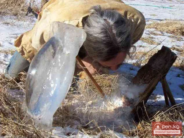 Several ways to make fire without matches and a lighter in the mountains of Kyrgyzstan. Part - 2