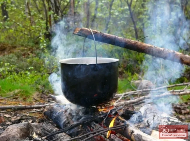 How to Quench Thirst in the Tian Shan Mountains Under Extreme Conditions
