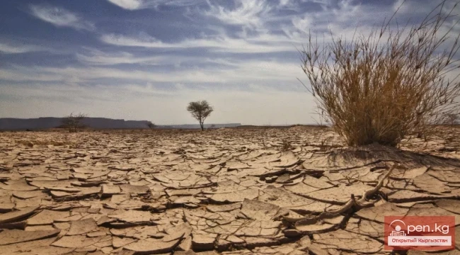 How to Quench Thirst in the Tian Shan Mountains Under Extreme Conditions