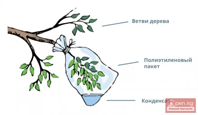 How to Quench Thirst in the Tian Shan Mountains Under Extreme Conditions