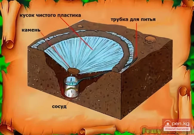 How to Quench Thirst in the Tian Shan Mountains Under Extreme Conditions