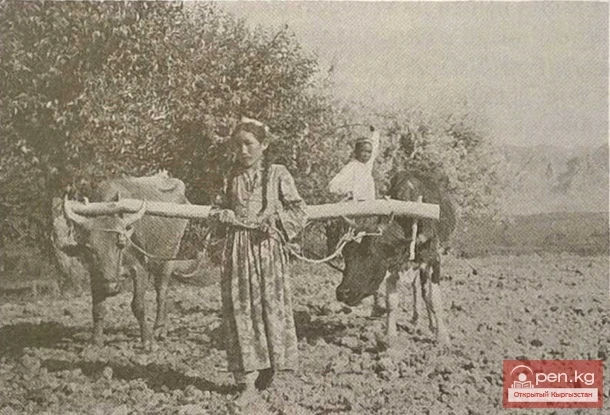 Agriculture among the Kyrgyz