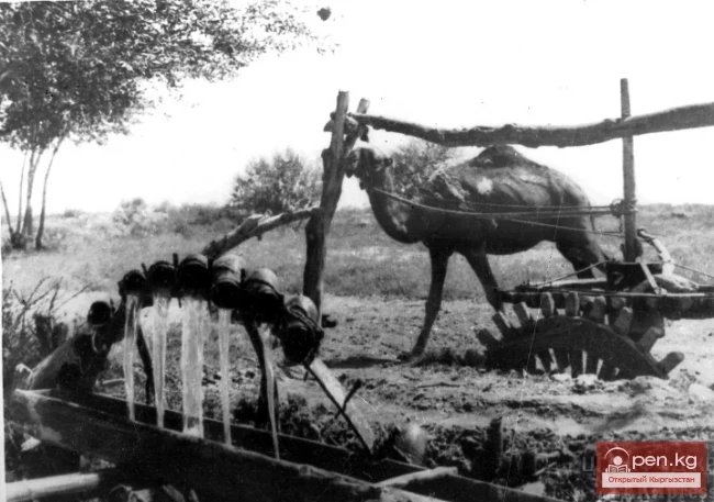 Kyrgyz Irrigation Technique - Irrigation