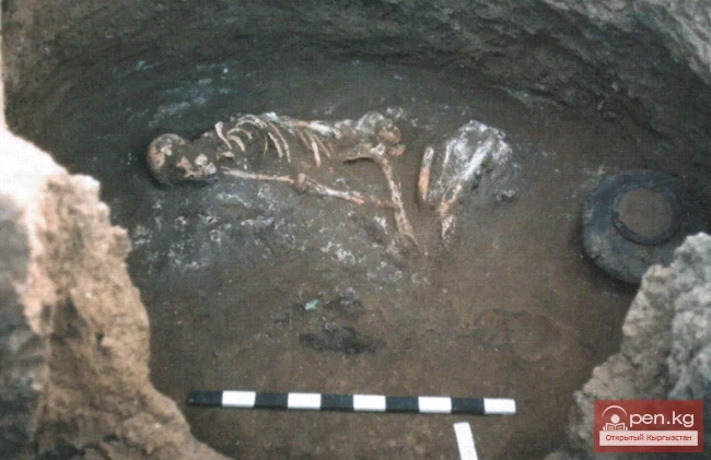 Бактриянын жерге коюу камералары