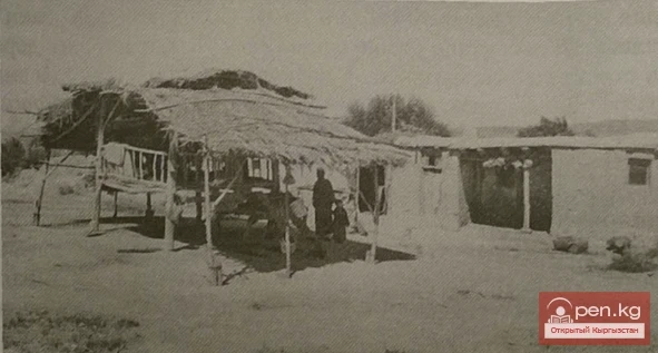 Внешний вид домов. Колхоз им. Маркса, Бургандинский сельсовет, Ленинский р-н, Джалал-Абадская обл. 1955 г.