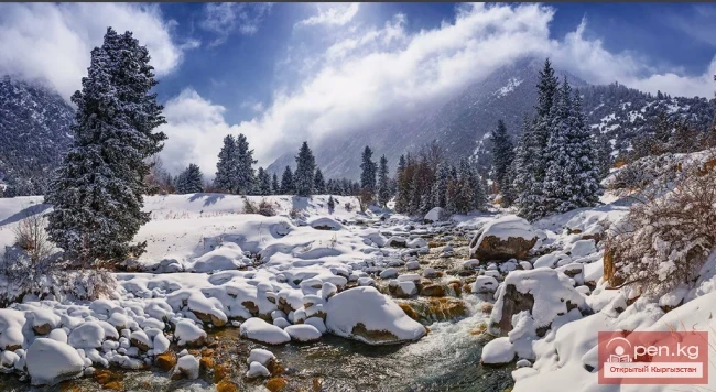 Seasonal Life of the Wildlife of Kyrgyzstan. Winter