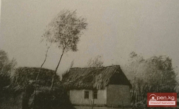 Collective farmer's estate. Collective farm 