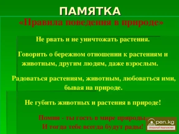 MEMO on Relationships with Nature