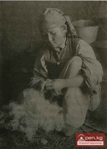 Разборка шерсти. Ошский округ, Алайская долина. Киргизстан.