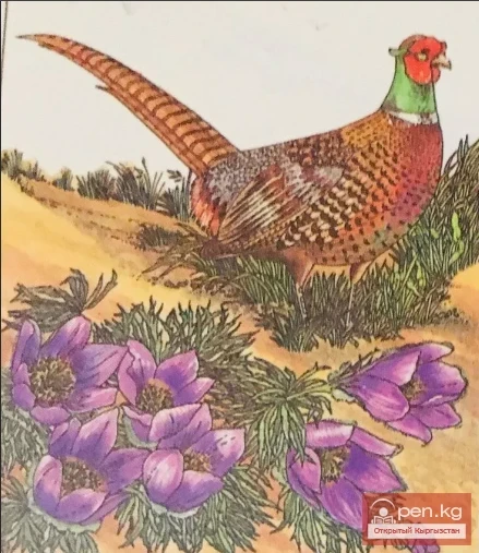 Сказка "Кто сильнее?"