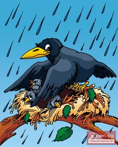 Tales of the Greedy Crow and the Cunning Cat