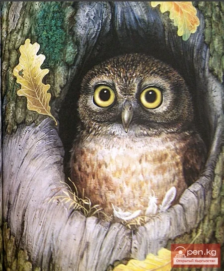 The Tale of the Ungrateful Owl