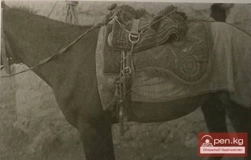 Убранство коня кыргызов XVIII-XX вв.