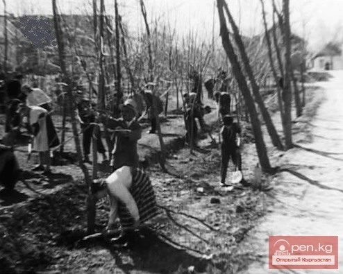 Establishment of New Decorative Nurseries and Fruit Trees in Frunze. Document No. 157 (March 1945)