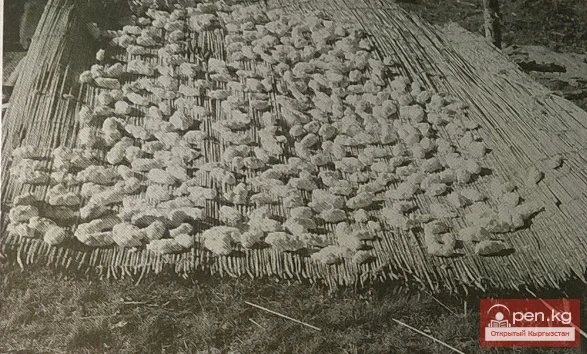 Сушка молочного продукта курут на циновке, пастбище Кашка-Суу,Нарынская обл. 2006 г.