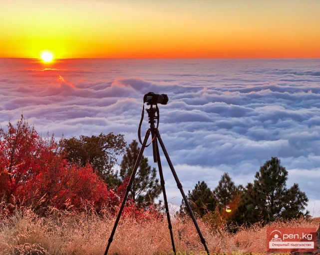 Фото аңчылык Кыргызстанда