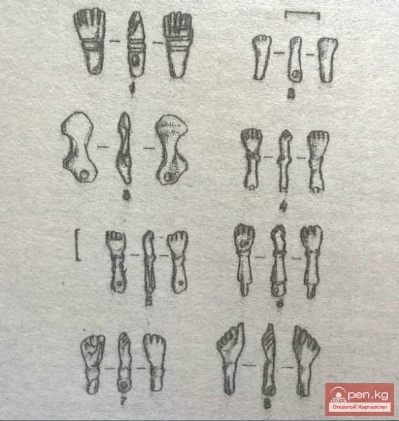 Бешинчи тип колоочтор-илгичтер