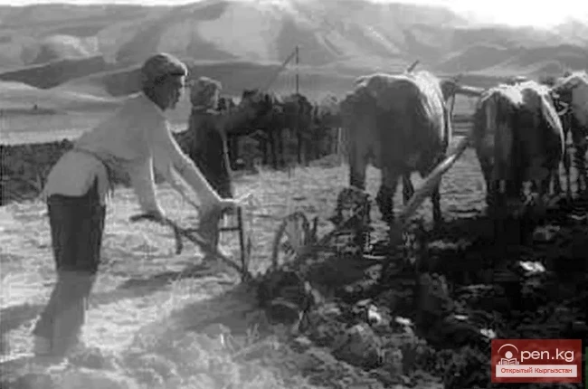 Длительный процесс перехода кыргызов от кочевья к земледелию