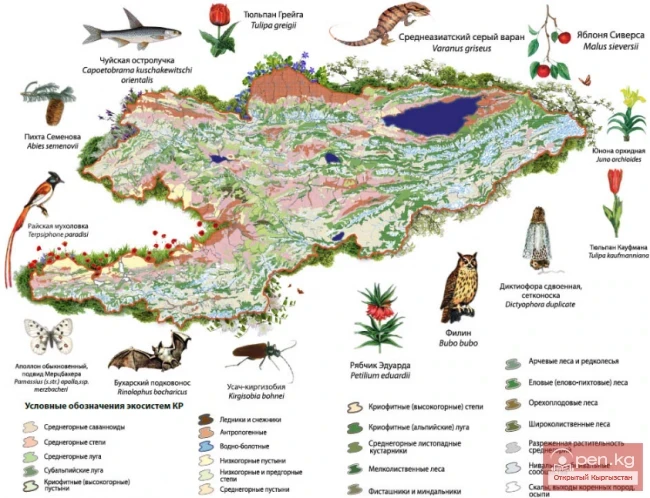 Maps of Kyrgyzstan to assist tourists