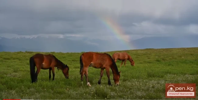 Kyrgyzstan. A Film by Rustam Khadzhibaev