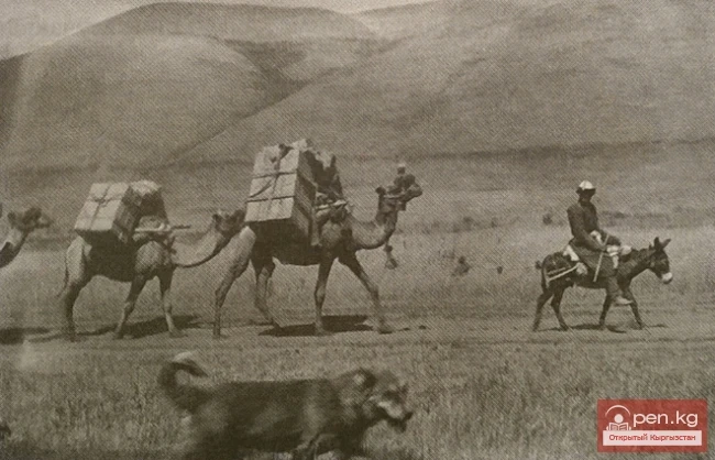 Means of Transportation of the Kyrgyz in the Early 20th Century