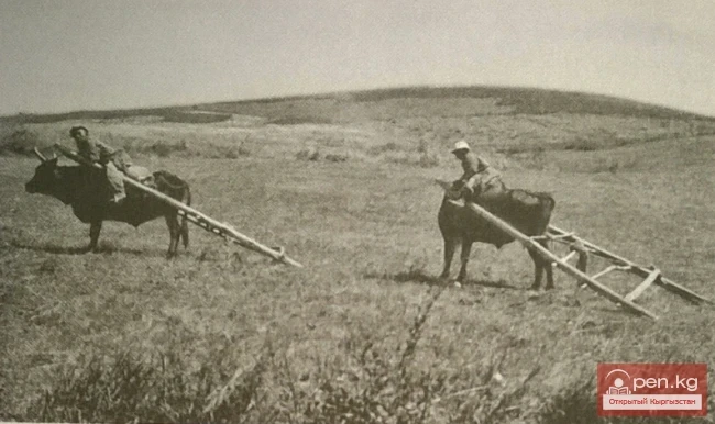 Devices for Cargo Transportation among the Kyrgyz in the Second Half of the 19th Century - Early 20th Century.