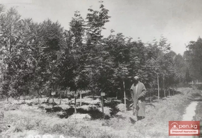 1878: Transfer of the District Administration from Tokmak to Pishpek (Bishkek)