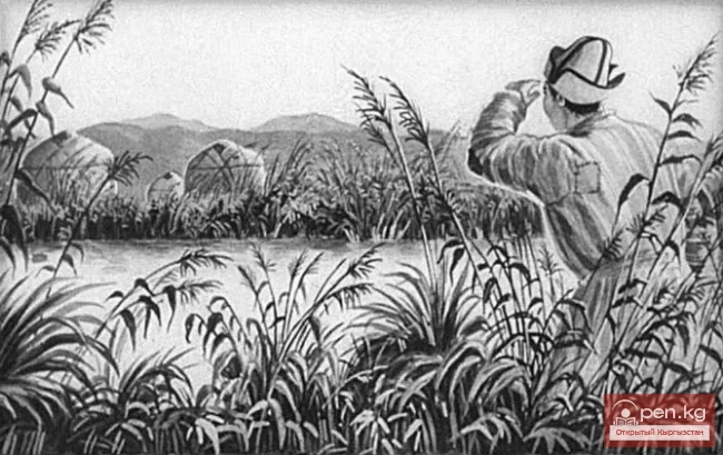 The Tale of the Bald Shepherd