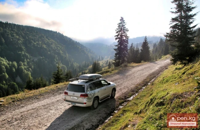 Унаа менен саякаттоо. Тажрыйбалуу адамдардын кеңештери