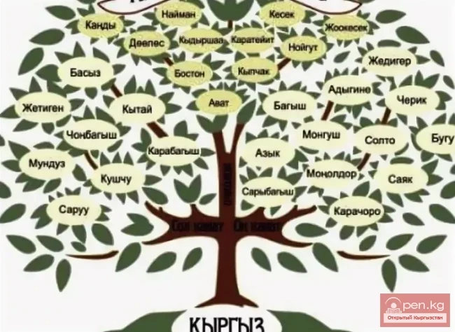 Родоплеменная структура кыргызов