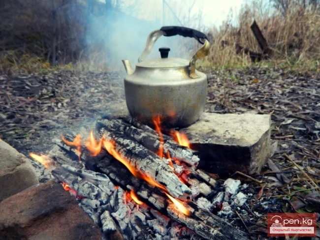 Тамак даярдоо системаларынын кемчиликтери